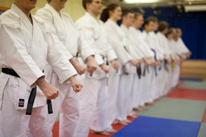 Karate Lineup